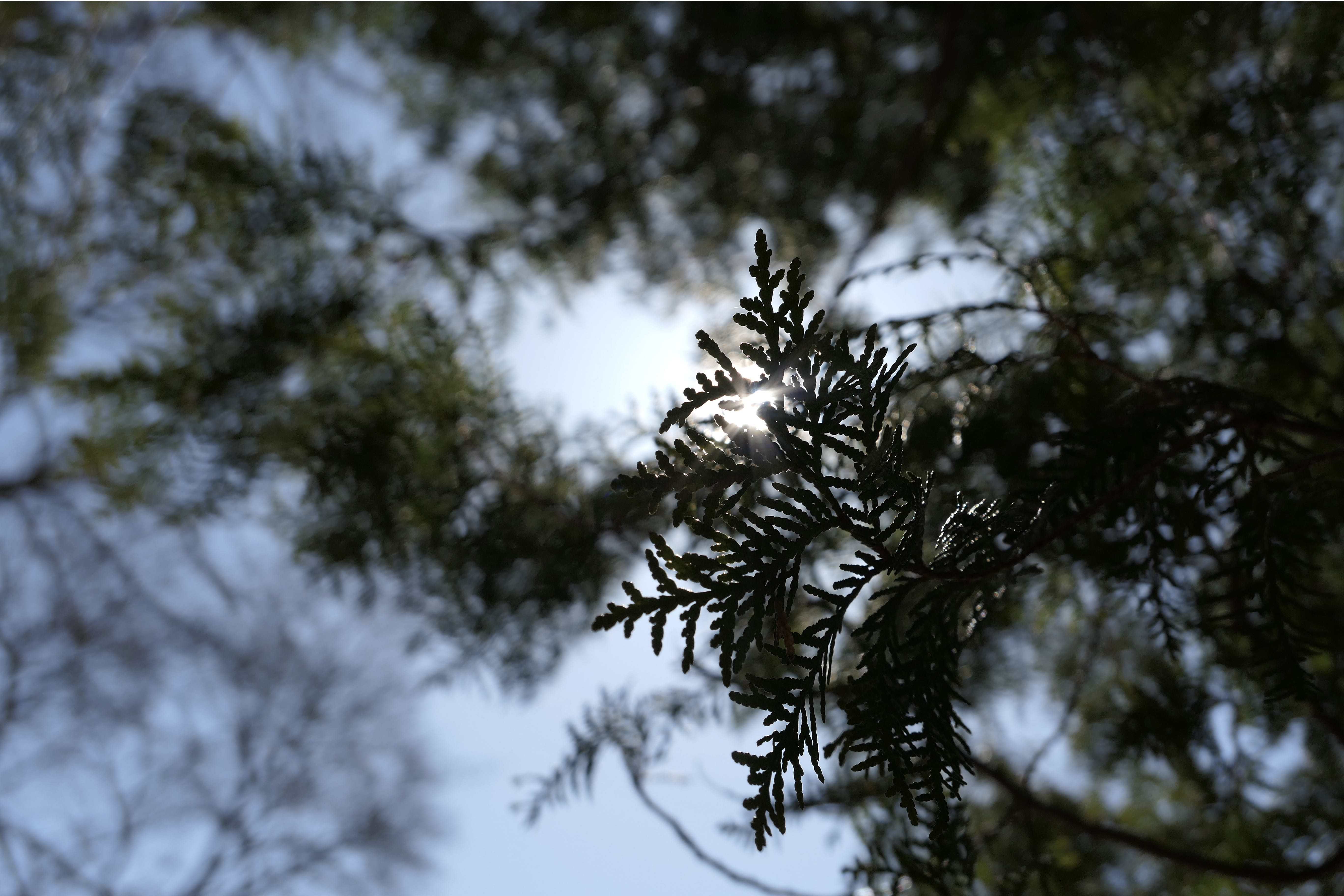 placeholder image sq